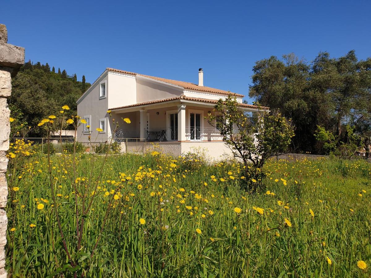 Kassiopi Central House - Ferienwohnung