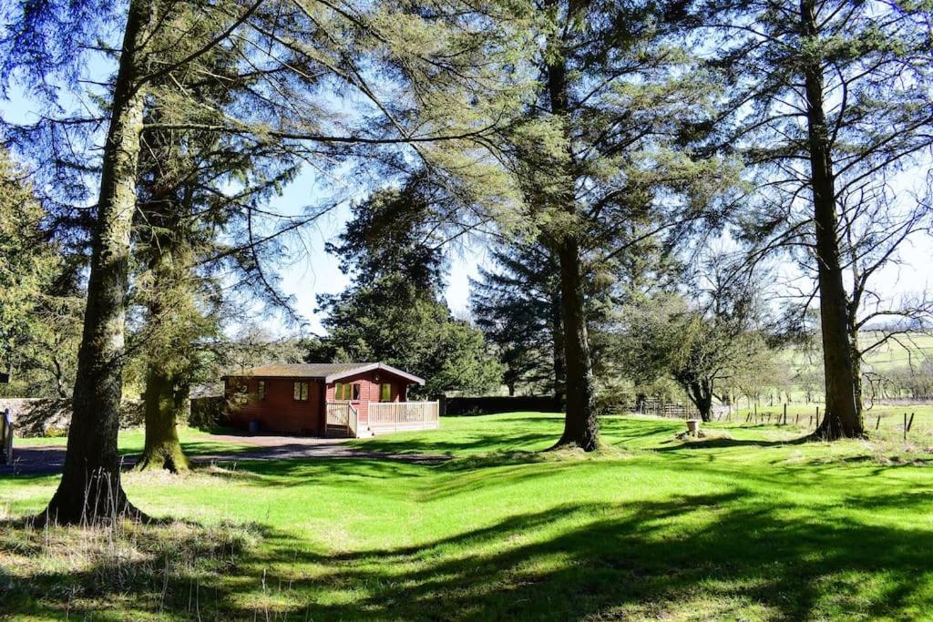 Secluded Pine Lodge 2 - Ferienwohnung