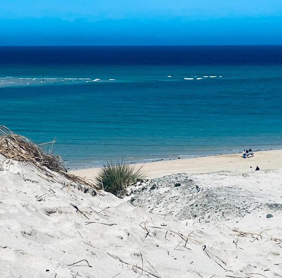 Sandy Bay Apartment, St Ives Bay, Hayle - B&B Hayle