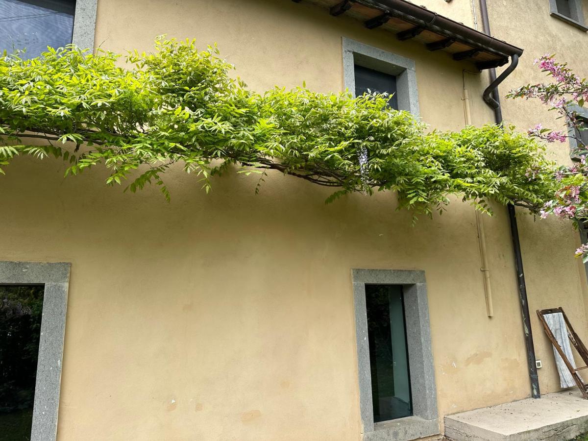 La casa di Zoe-ARTANDTRAVEL - Ferienwohnung Montefiascone