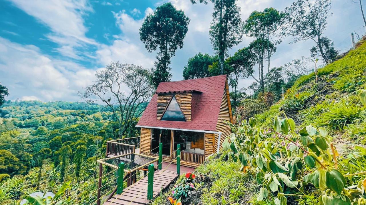 Glamping Magic Love - Bed and Breakfast