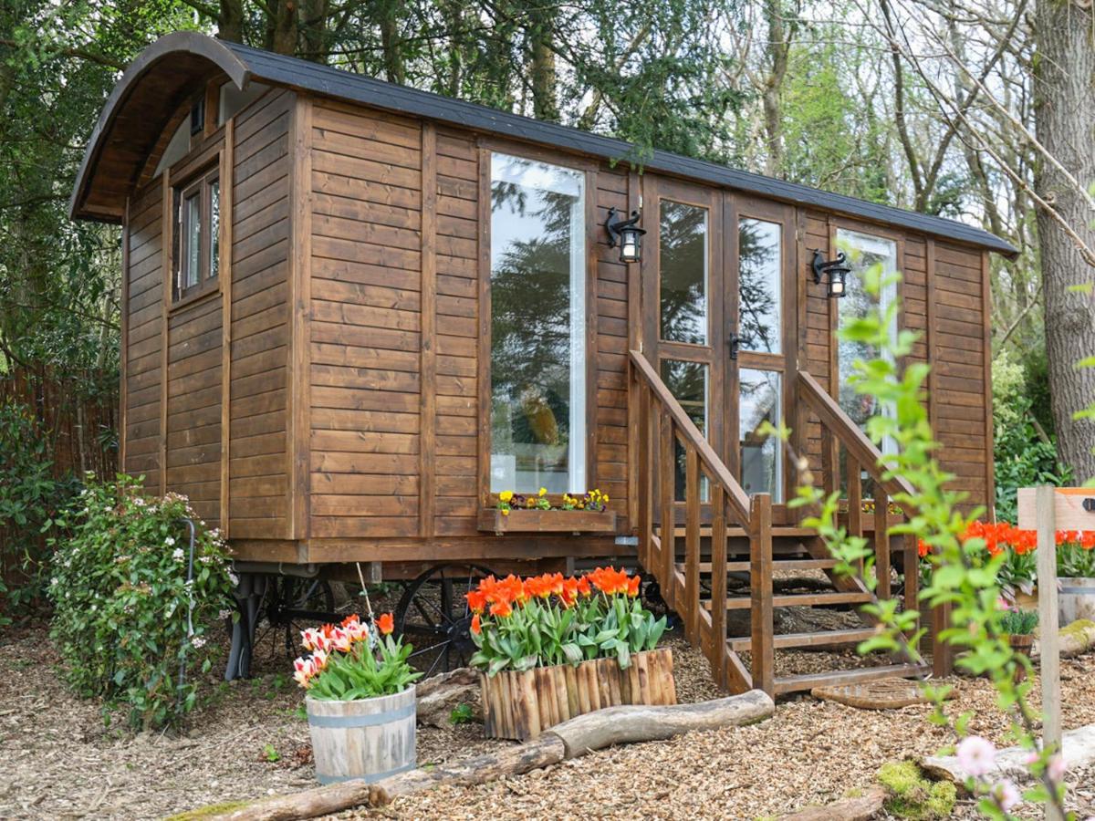 B&B Fernhurst - Sybs Farm Shepherds Hut - Bed and Breakfast Fernhurst