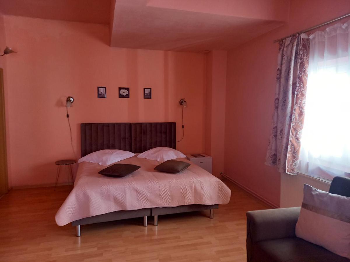 B&B Cluj-Napoca - Pensiunea Vila Dana - Bed and Breakfast Cluj-Napoca