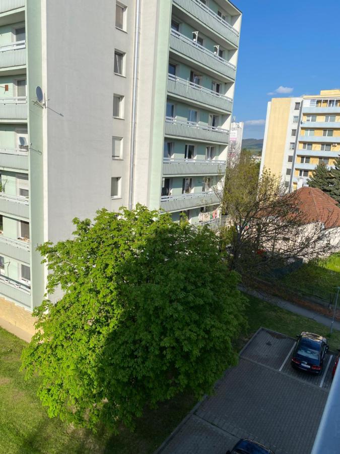 City Apartment - Ferienwohnung