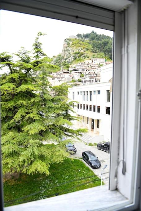 Magda Studio in Berat Center - B&B