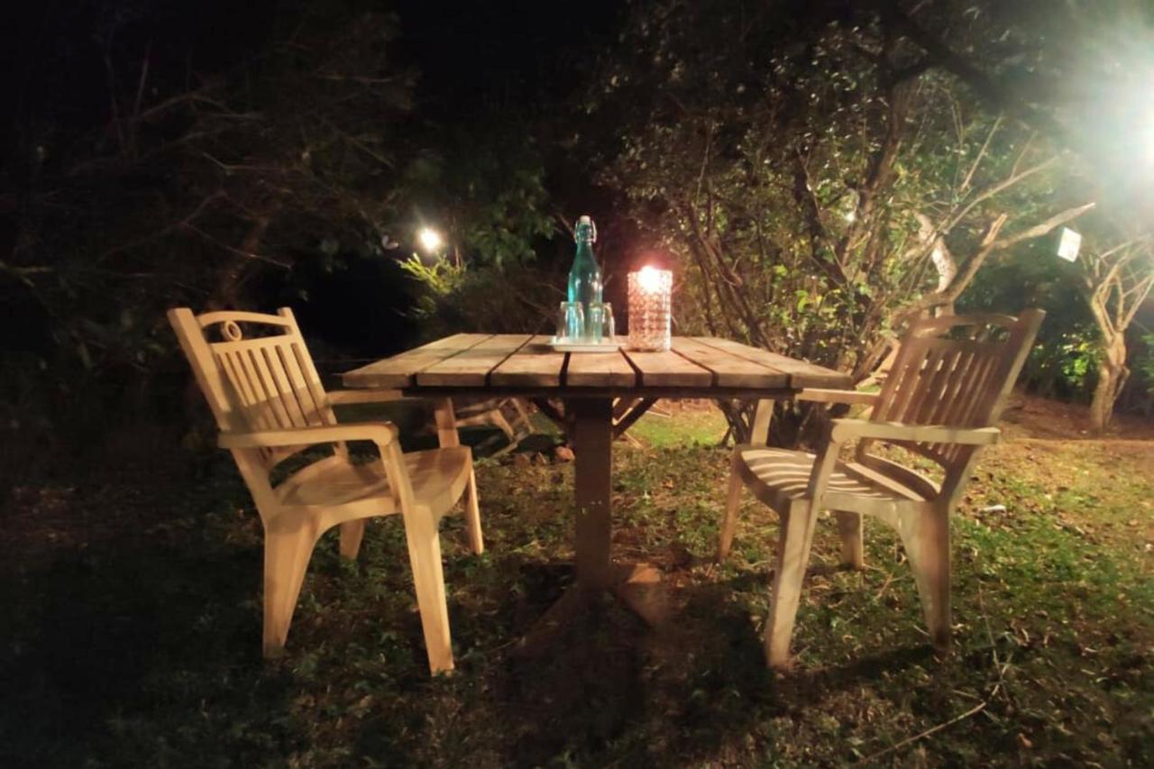 Compact Forest Tent