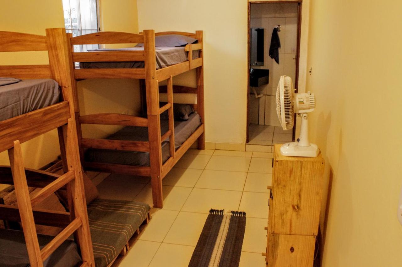 Bunk Bed in Mixed Dormitory Room