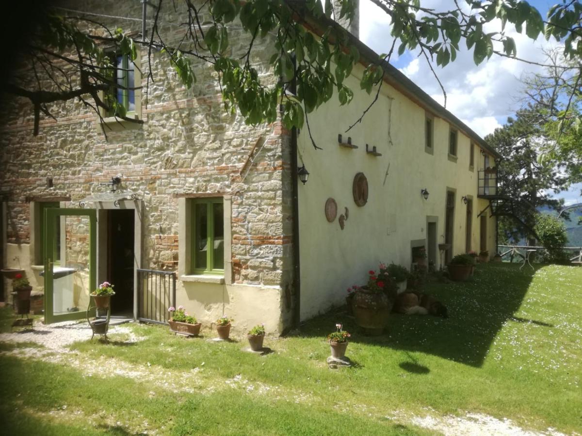 Podere Casone - B&B Sant'Adriano