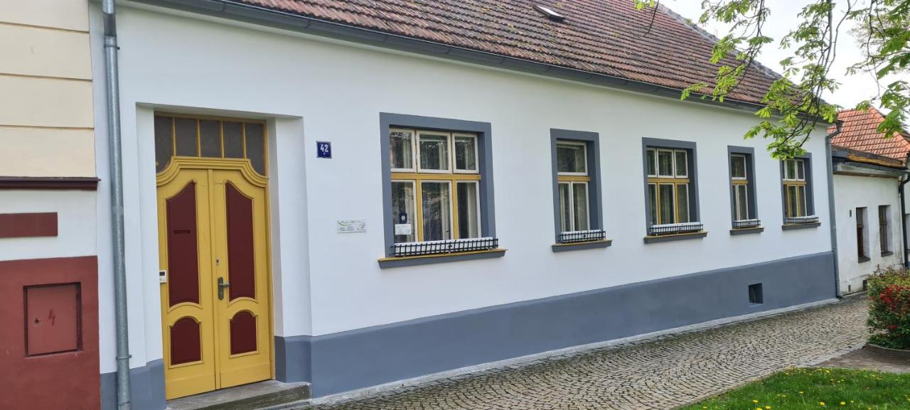 Apartment mit Gartenblick