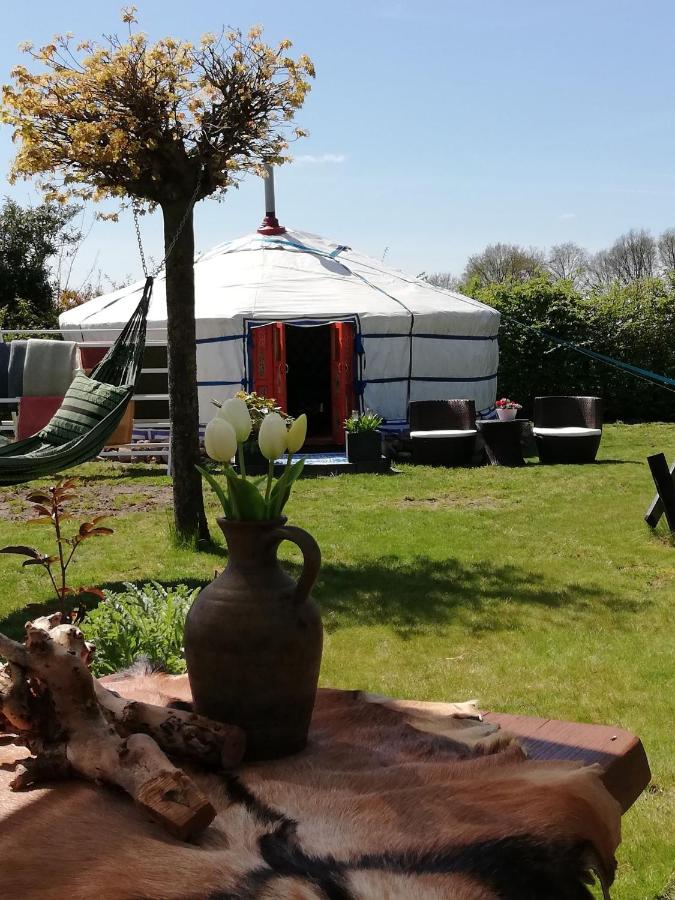 B&B Noord-Sleen - T'eiberveld Yurt verhuur Noord-Sleen - Bed and Breakfast Noord-Sleen