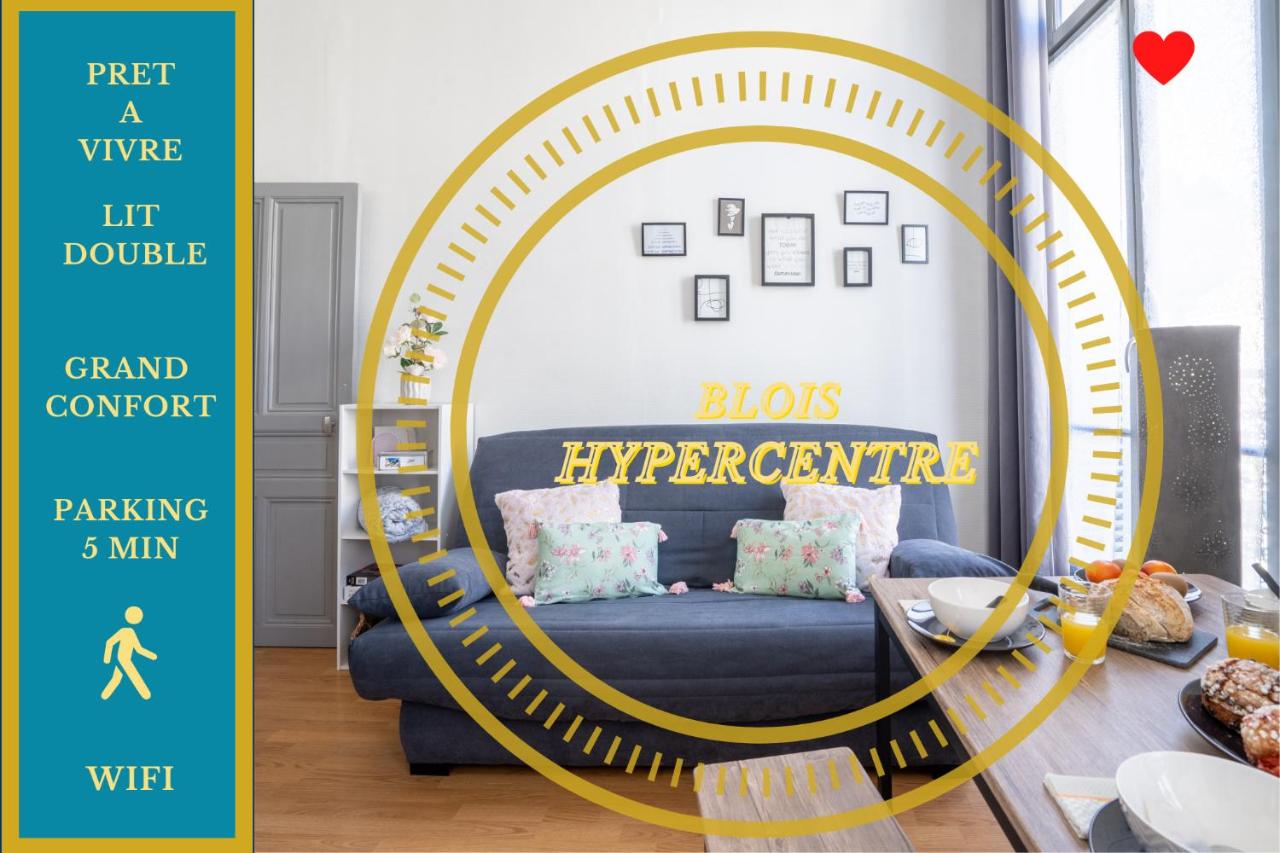 Le CITY BREAK - halte idéale en hypercentre - B&B Blois