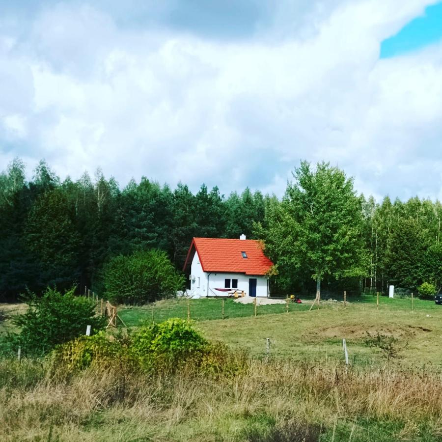 Siedlisko Pili Pili - B&B Sorkwity