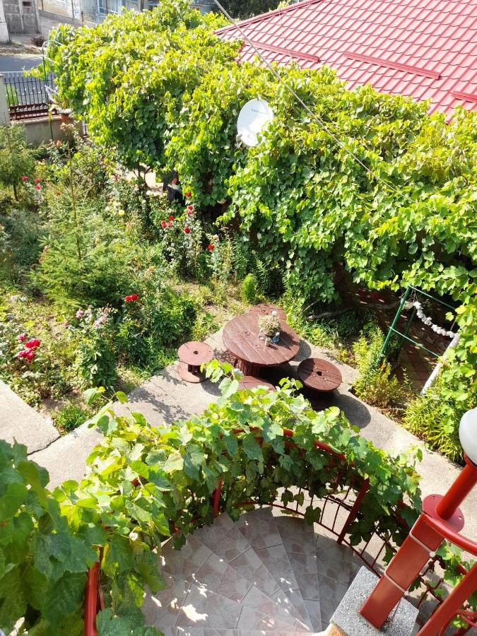Casa Daria - B&B