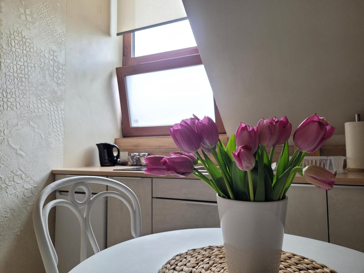 B&B Wieliczka - Apartament Bright ASD Studio - Bed and Breakfast Wieliczka