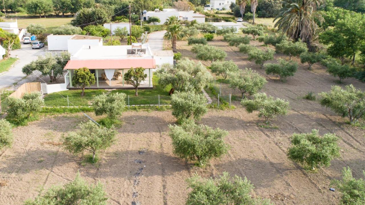 Elia Small Paradise - Chambres d’hôtes Kos