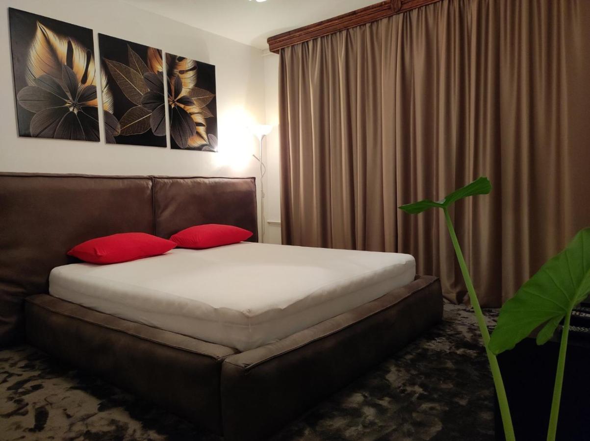 Elpa - B&B Belgrado