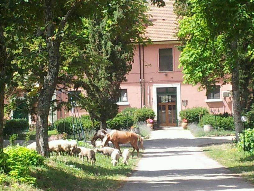 B&B Rionero in Vulture - Country House Villa delle Rose Agriturismo - Bed and Breakfast Rionero in Vulture