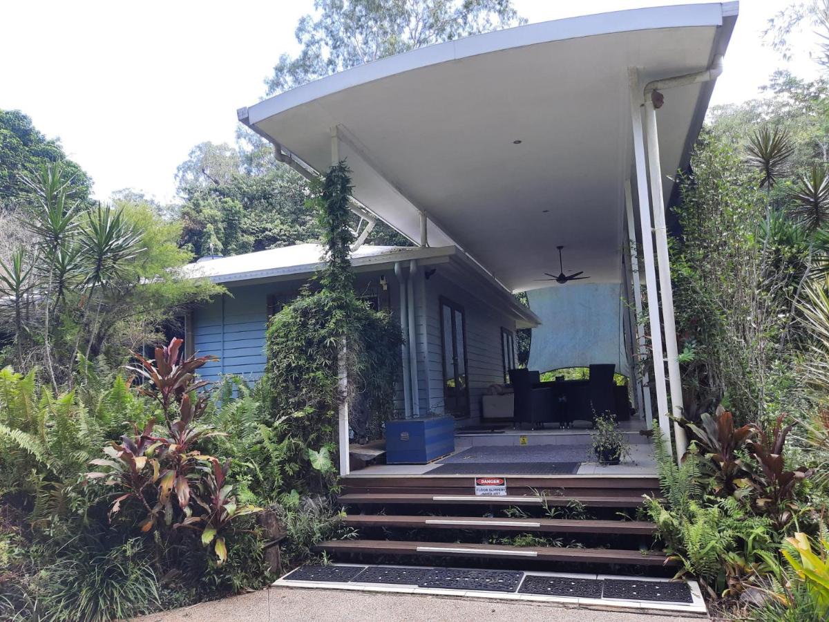 Daintree Rainforest Accommodation - B&B