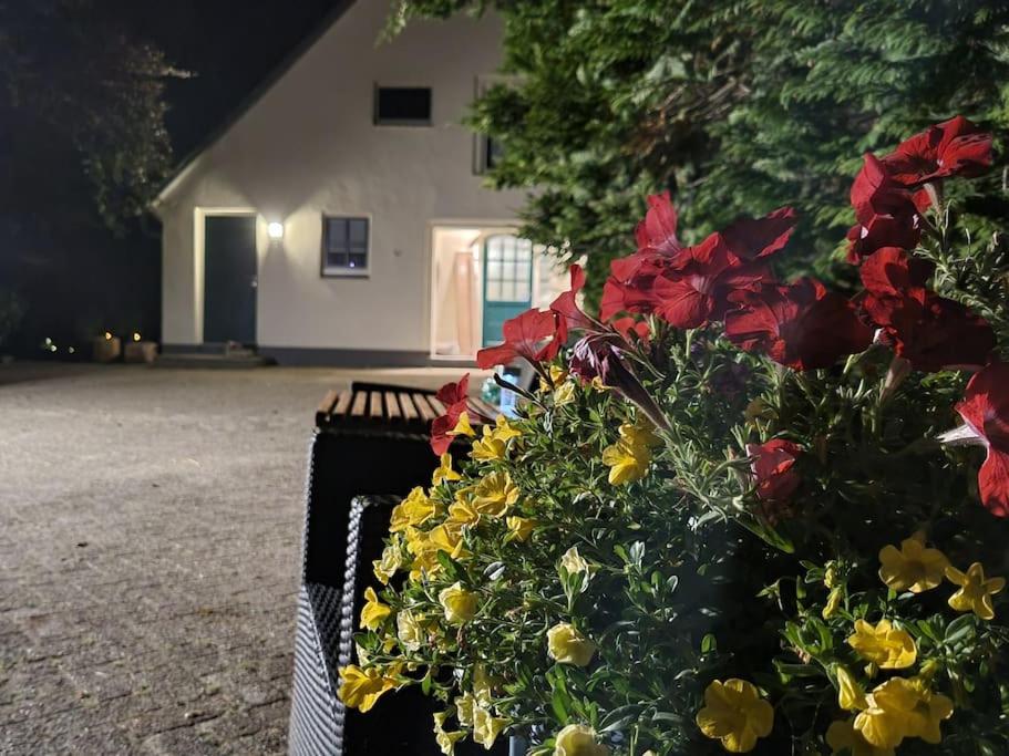 Horsea - B&B