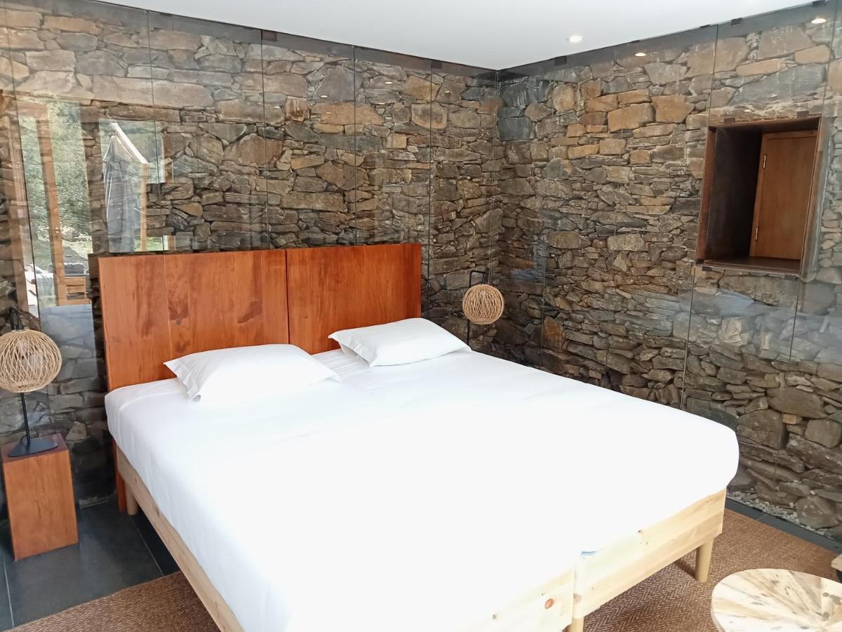 Suite with Terrace