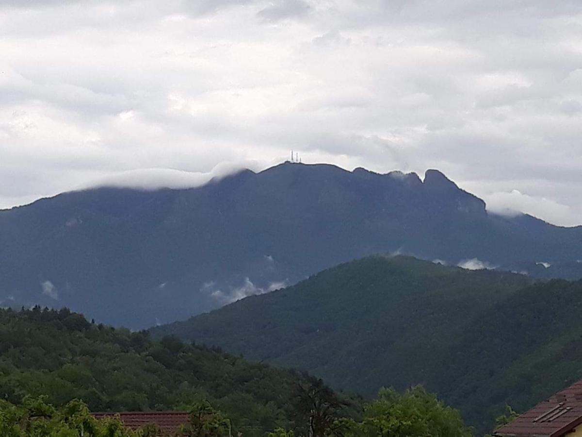 Casa Rariana - Ferienwohnung Călimăneşti