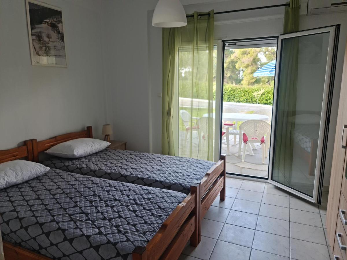 Appartement 1 Chambre