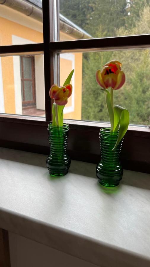 Appartamento con 2 Camere da Letto