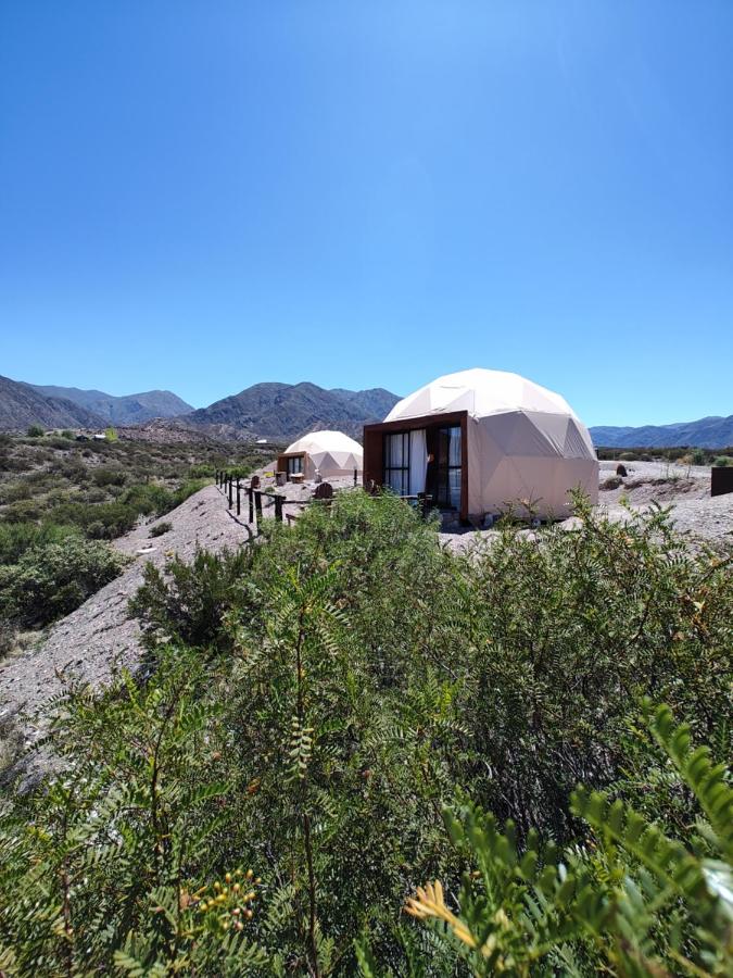Denmoza Eco Lodge - Bed and Breakfast Potrerillos
