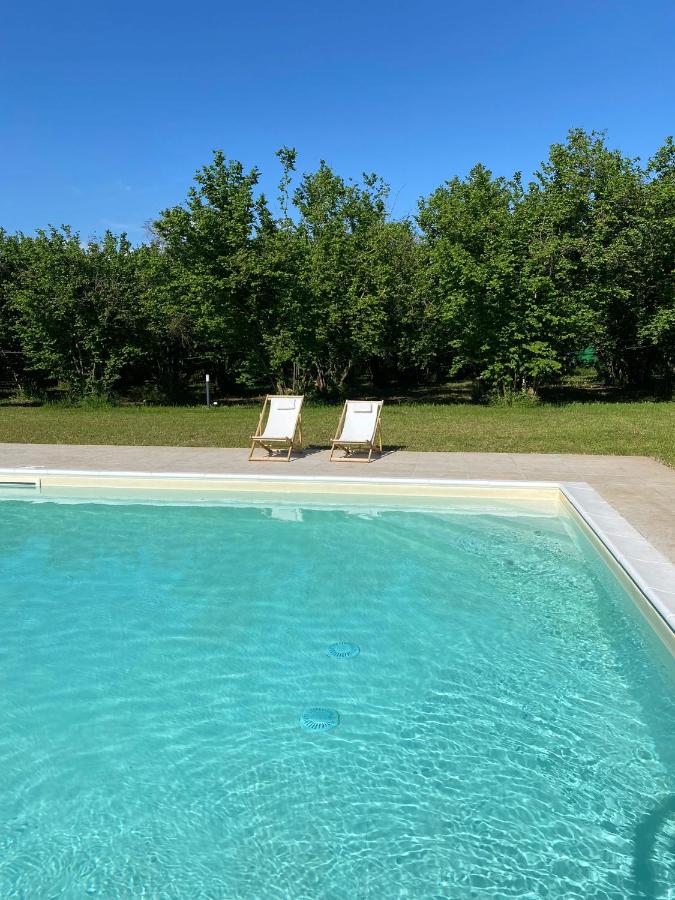 Agriturismo Terre di Nelio - Bed and Breakfast Vignanello