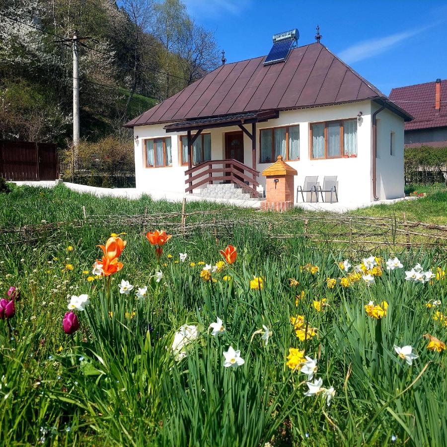 B&B Nămăești - La numărul 100, Nămăești - Bed and Breakfast Nămăești