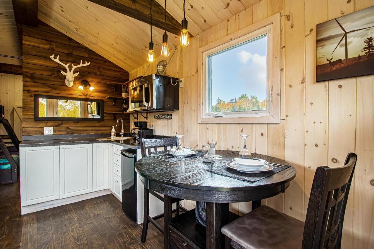 Chalet le Coyote Lac, Micro Ferme, Sentier Du Domaine, Vue Sur Les Monts, Idéal 2 4 Personnes - Chambres d'hôtes Saint-Philémon