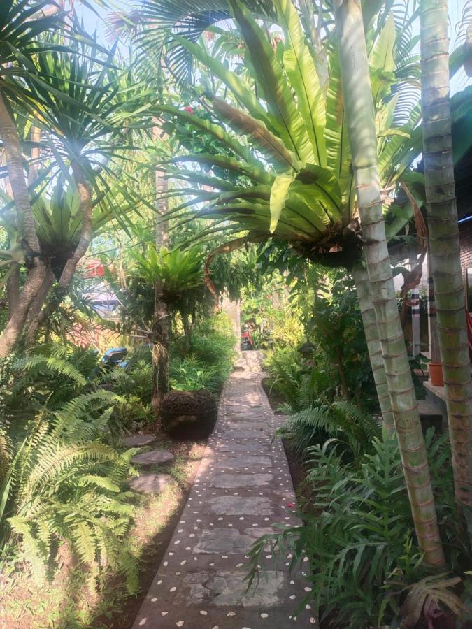 ComeBack GuestHouse - B&B Canggu