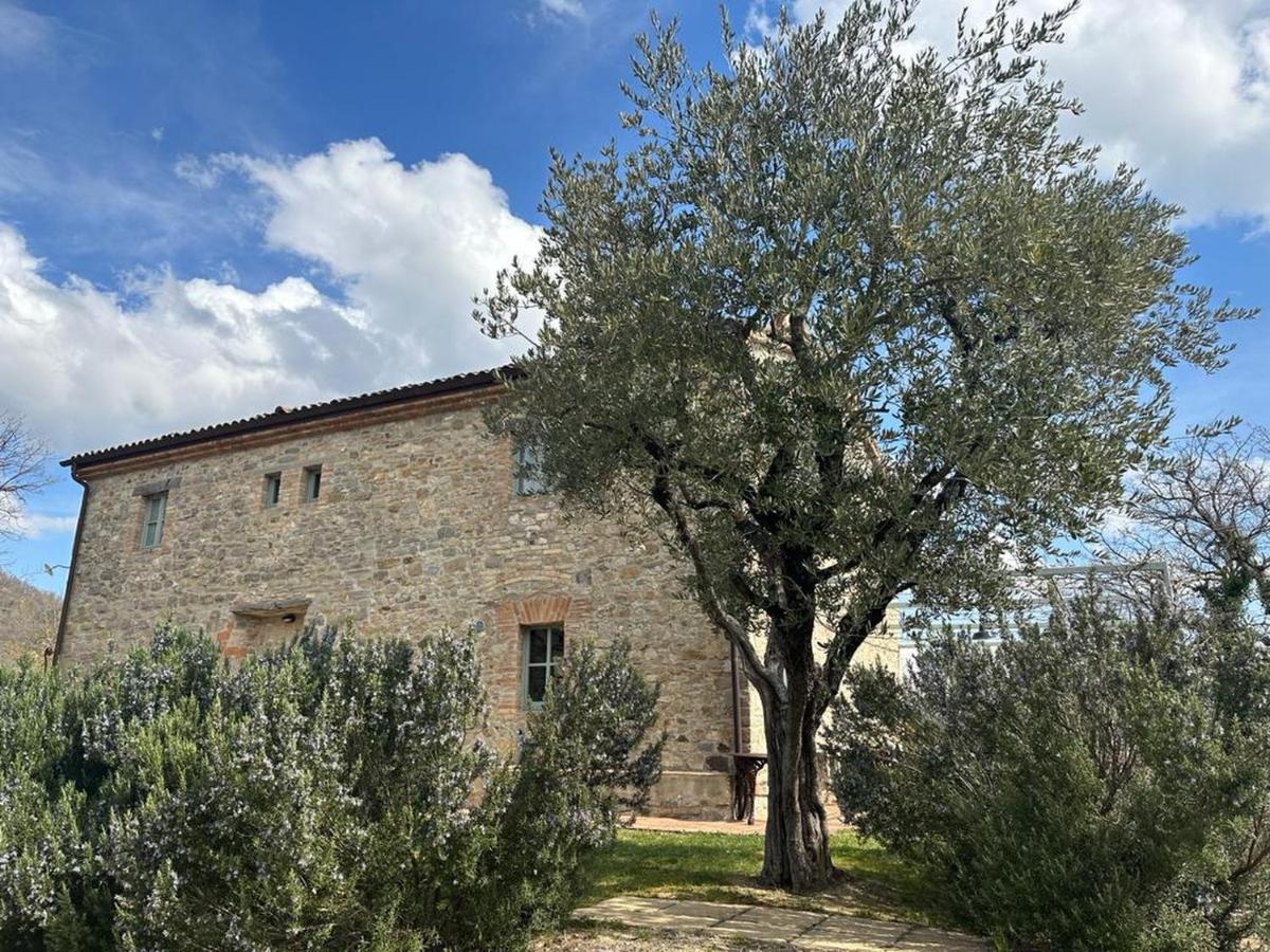 Borgo Cardaneto - B&B