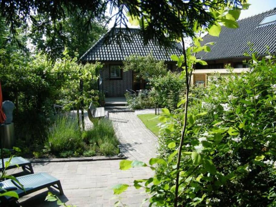 B&B Scharendijke - Studio bed & Strand - Bed and Breakfast Scharendijke