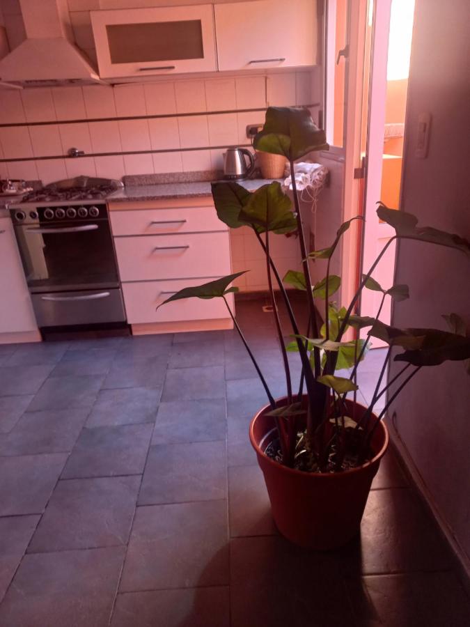 Apartamento - Planta baja