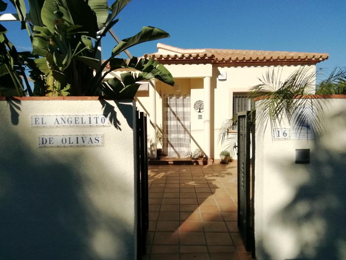 B&B Pedreguer - Guest House El Angelito de Olivas - Bed and Breakfast Pedreguer