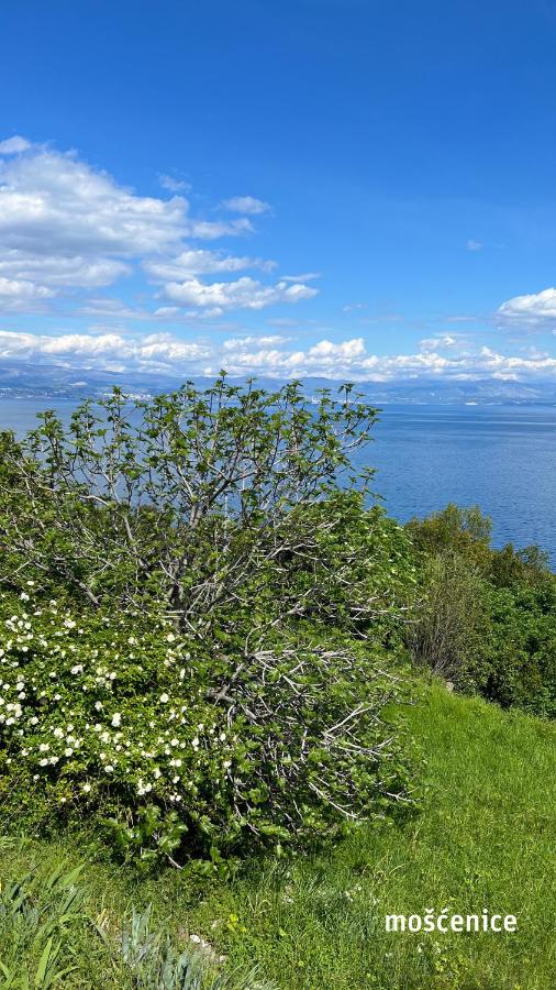 seaview apartments croatia KARLA - B&B Mošćenička Draga