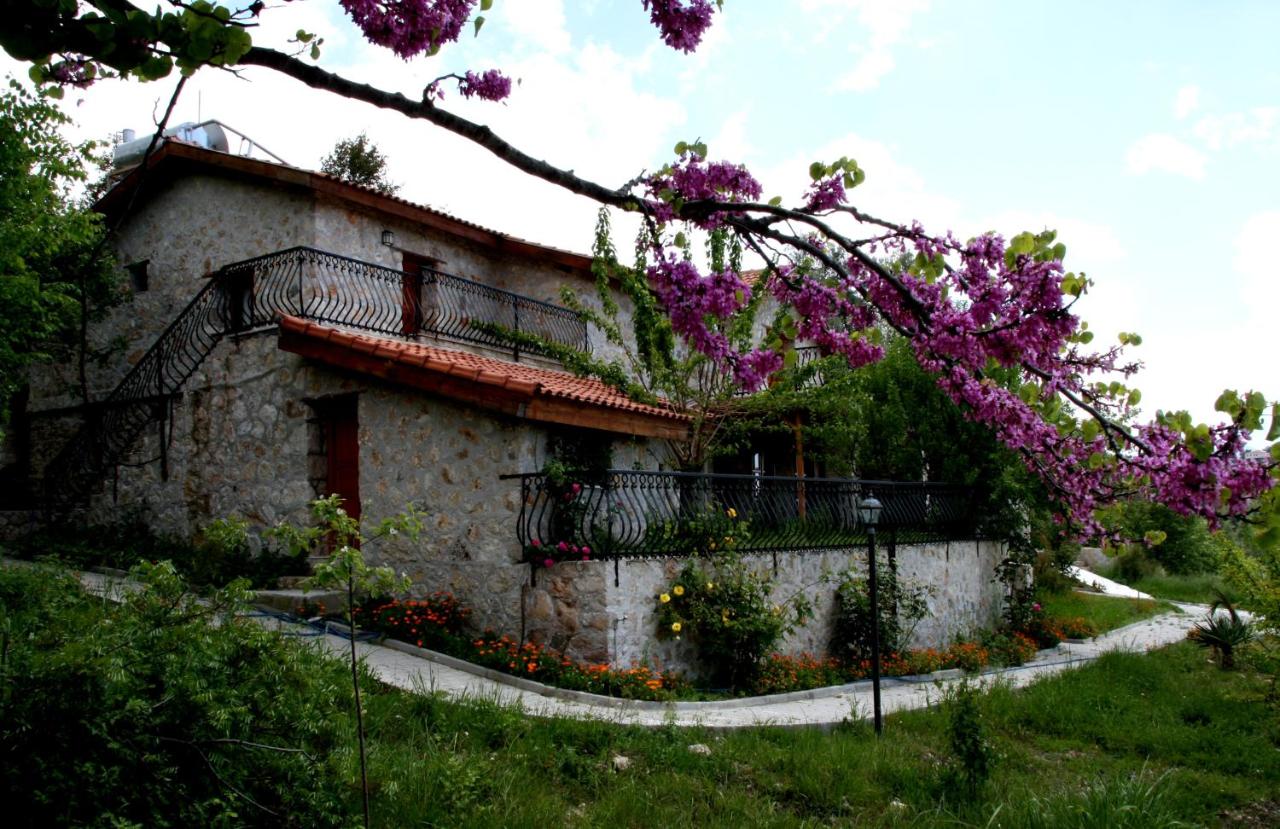 Villa avec Piscine Privée