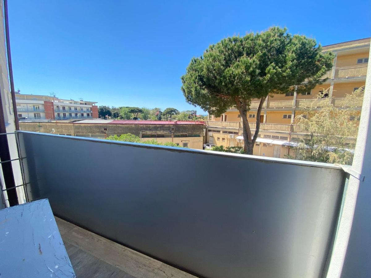 Venere Apartament - B&B Tirrenia