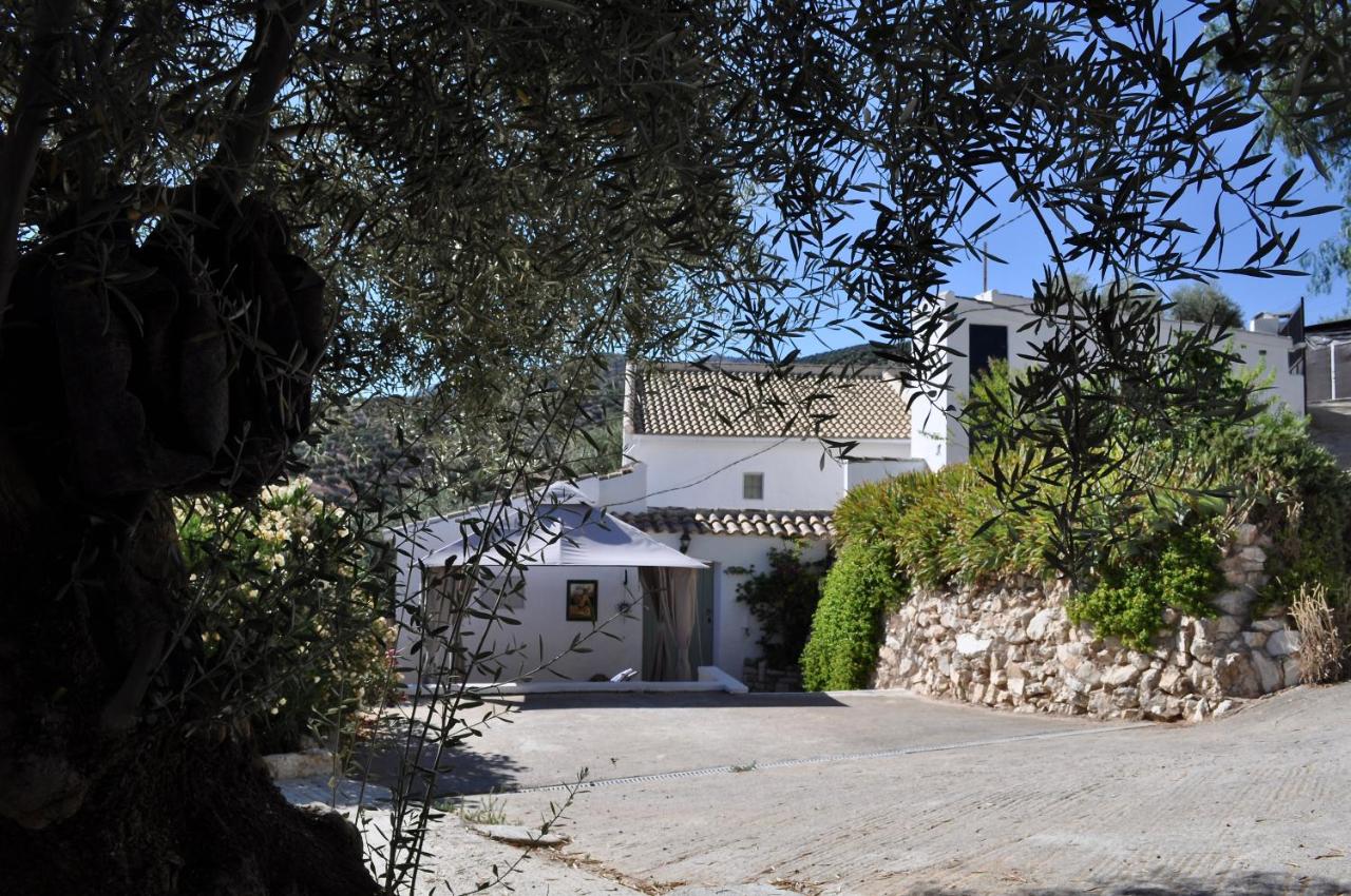La Estrellita - Bed and Breakfast