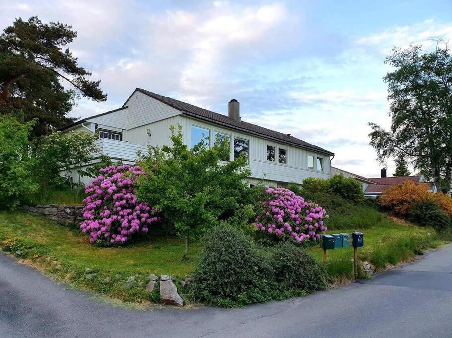 B&B Flekkefjord - Holiday home with seaview in Flekkefjord - Bed and Breakfast Flekkefjord