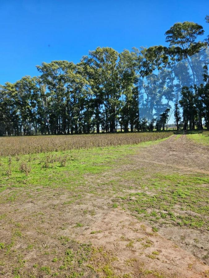 TERRA - Chambres d’hôtes San Andrés de Giles
