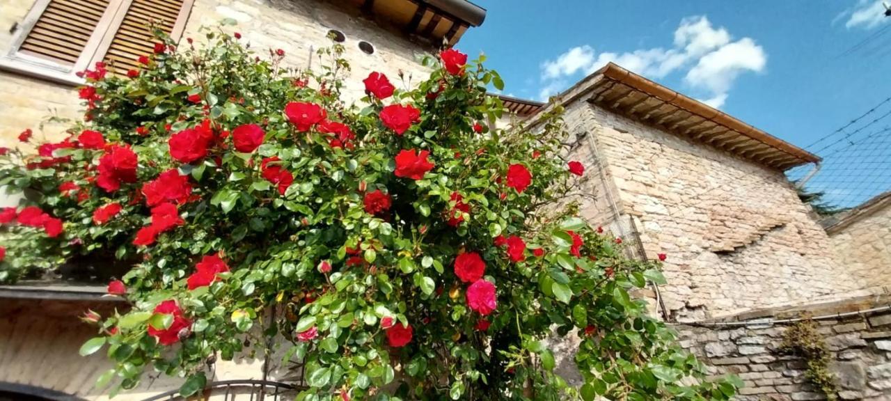 CASETTA delle ROSE - B&B