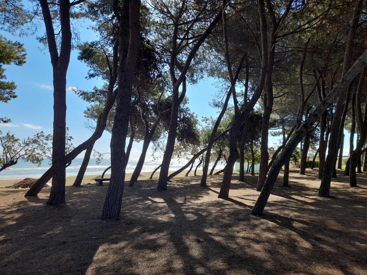 Il garusolo - B&B Pineto