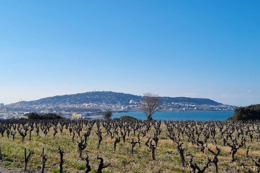 Maison de campagne vue Étang de Thau ! - B&B