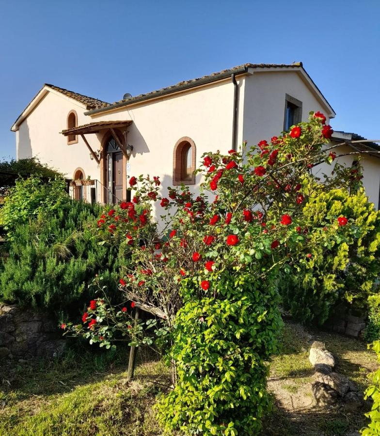 Borgo de' Muracci - B&B