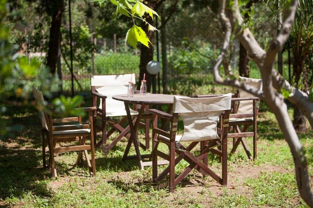 Wonderful villa with huge yard, at Potamos beach - B&B Epanomí
