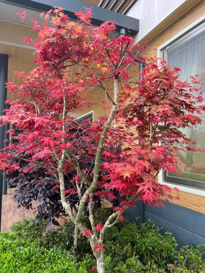 Tianen Farm - B&B Huilong