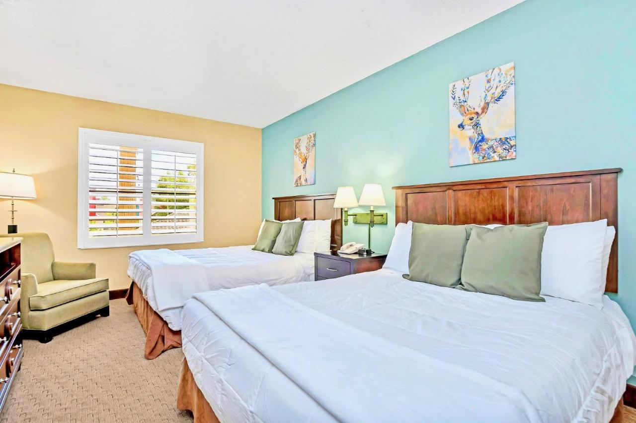 B&B Orlando - Upscale 1BR Suite - Two Queens Pool - Near Disney - Bed and Breakfast Orlando