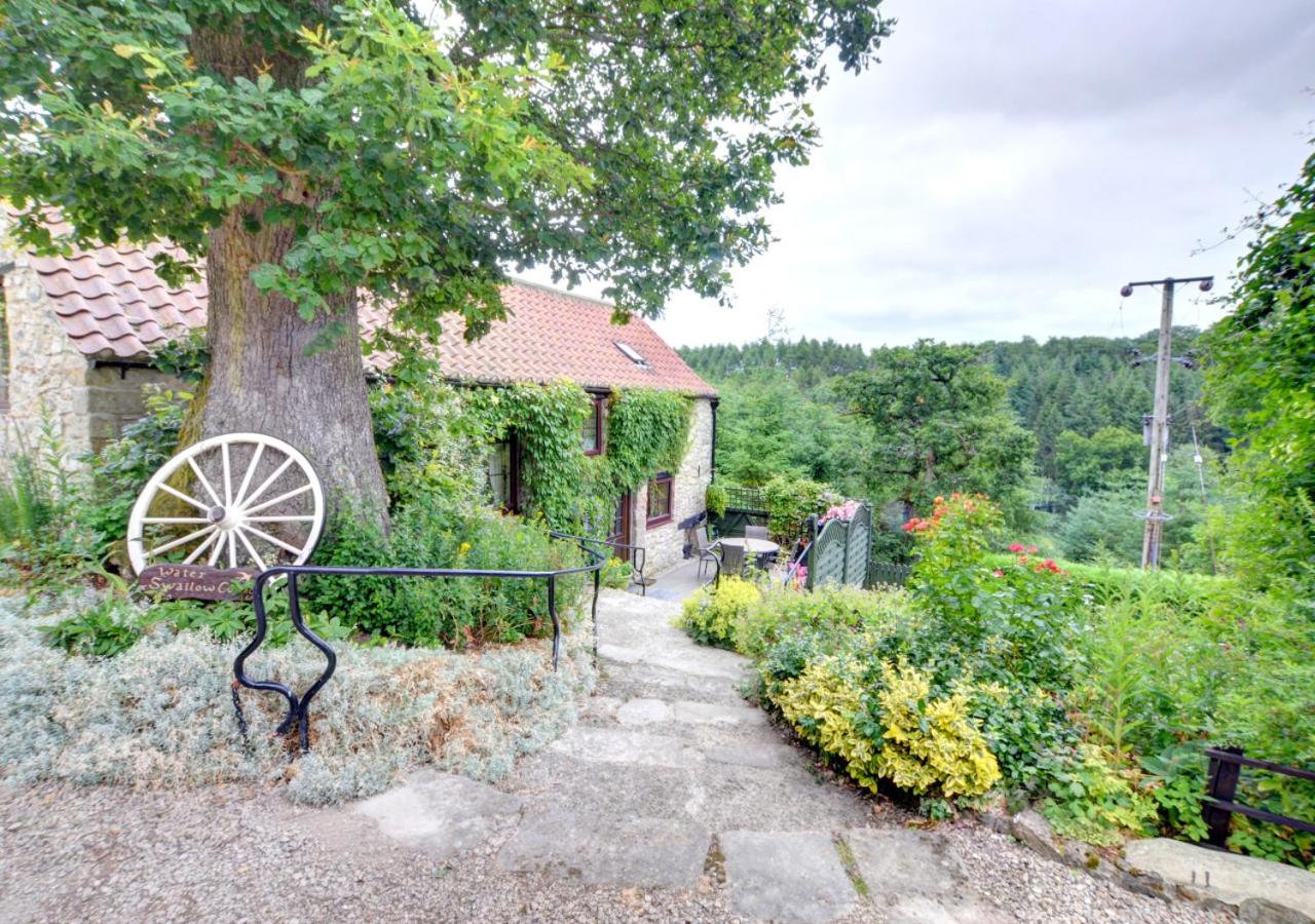 Waterswallow Cottage - B&B